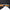 Katana Aoi Tempest Maru Blade Kin - aoi Koshirae 金葵 | TangGu Sword United States 2026
