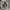 Musashi Sukashi Iron Tsuba with Sekigane 武蔵透鐔 | TangGu Sword 2026